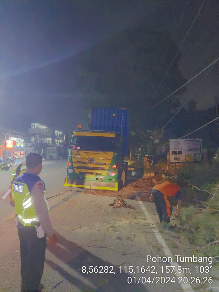 Pohon Tumbang di Banjar Jumpayah, Desa Mengwitani, Kecamatan Mengwi Tanggal 04 Januari 2024